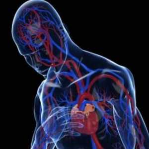 Kardiopulmonalna insuficijencija: simptomi i liječenje