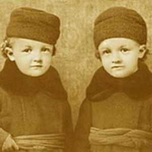 Sergej Ilyich Ulyanov - blizanac Lenjina: biografija, fotografija. Djeca Sergeja Iljiča Uljanova