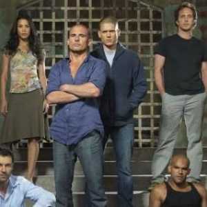 Serija `Escape`: Michael Scofield, biografija i opis serije