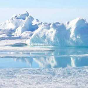 Sjeverni pol: najsjevernija točka našeg planeta