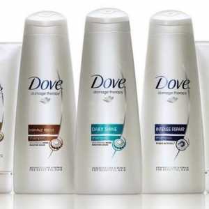 Šampon `Daw` - zdravlje i ljepotu vaše kose