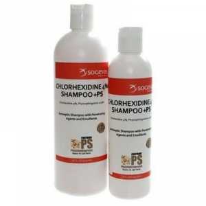 Šampon za pse s klorheksidinom - učinkovit alat za njegu kućnih ljubimaca