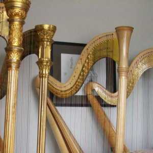 Plucked glazbeni instrument - vrste i povijest pojave