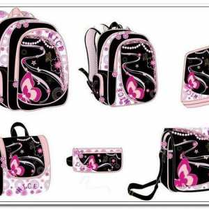 Školske torbe za djevojčice: pregled, vrste, specifikacije i recenzije