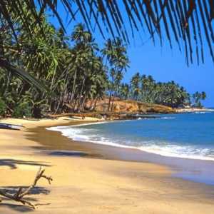 Šri Lanka u lipnju. Veliki odmor i svijetle dojmove