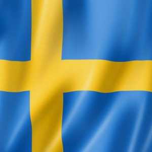 Švedski krunu. Dinamika tečaja švedskog kruna (SEK) na rublje, dolar, euro