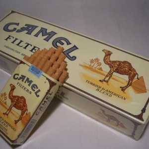 Cigarete `Camel`: brend s stogodišnjom poviješću