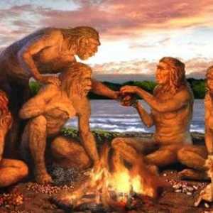 Sinanthropus je predstavnik svijeta ljudi?