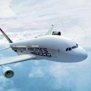 "Singapore Airlines": službene web stranice i recenzije zrakoplovnih tvrtki