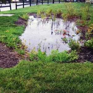Kanalizacijski sustav za kišnicu: Opis i uvjeti korištenja