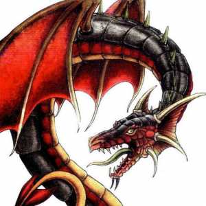 Scorpion-Dragon: karakter i sudbina