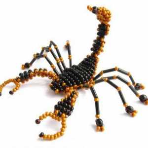 Škorpion s kuglica: skica, shema tkanja. Bead lekcije za početnike
