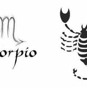 Škorpion: elementi znaka, kompatibilnost