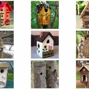 The birdhouse je neobična: ideje i fotografije