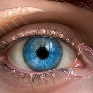 Lacrimalna tekućina - što je to i što služi?