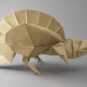 Složeni origami: principi, materijali, prednosti