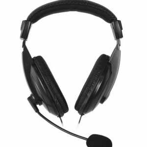 Smartbuy (slušalice s mikrofonom): recenzije
