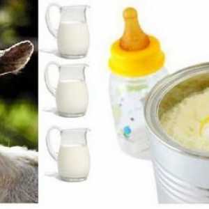 Mješavine za kozje mlijeko: recenzije, cijena i sastav. Koje su prednosti mješavina kozjeg mlijeka?