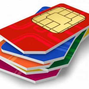Koliko godina mogu napraviti SIM karticu? Odgovor na uzbudljivo pitanje