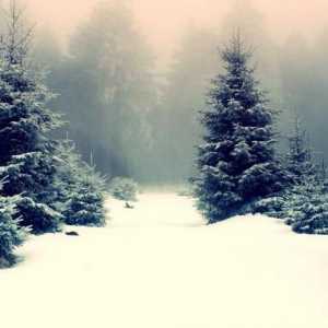 Sastav na temu "Pogled s prozora zimi": pisanje eseja u krajoliku
