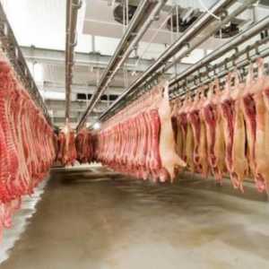 Strojevi za pakiranje mesa Soči: povijest proizvodnje, opis i recenzije