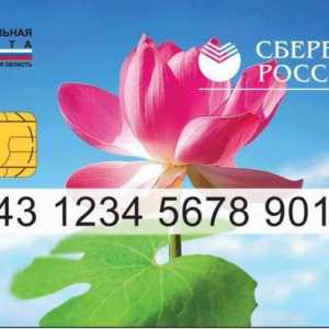 Socijalna kartica štedionice. Sberbank: socijalna kartica za umirovljenike