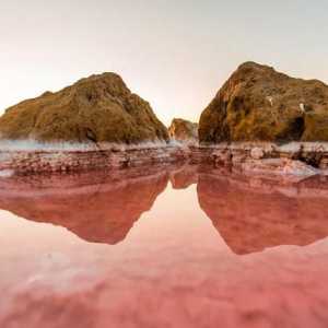 Salt Pink jezero na Krimu