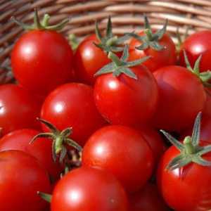 Vrste rajčica. Kako se brinuti za prozirne rajčice