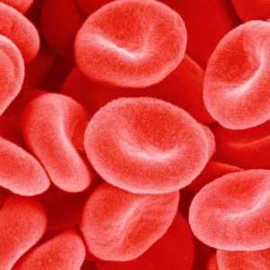 Sastav i fizikalno-kemijska svojstva krvne plazme