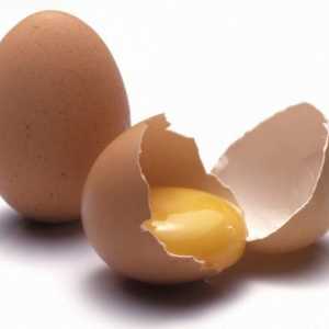 Sastav pilećih jaja. Kemijski sastav kokošjih jaja