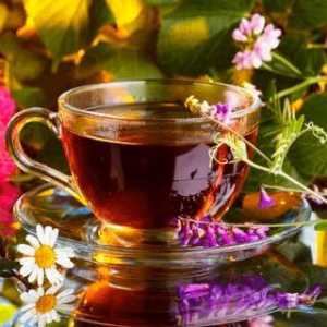 Sastav ženskog čaja iz hipertenzije. "Monastic Tea": recenzije