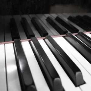 Izrađujemo rečenice riječima `piano`