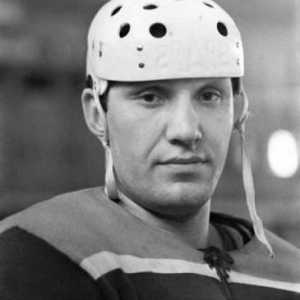 Sovjetski hokejski igrač Alexander Ragulin: biografija, sportska postignuća