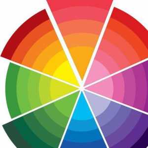 Savjeti za početnike: osnovne i komplementarne boje