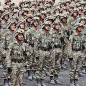 Современная армия Казахстана: численность и вооружение