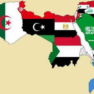Moderni arapski svijet. Povijest arapskog svijeta