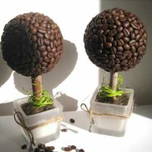 Izradite vlastite ruke šarmantno drvo kave od žita