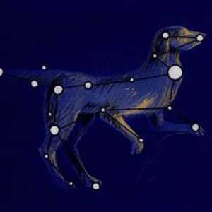 Constellation Big Dog: povijest i zvijezde