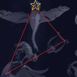 Constellation Cygnus: Shematski prikaz. Povijest konstelacije Cygnus. Kada je bolje promatrati…