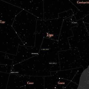 Constellation of Rynx: opis, povijest, zanimljivi objekti