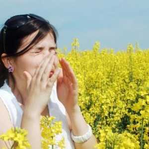 Lijek za alergiju ragweed - da li postoji?