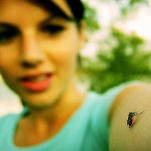 Otklanjanje komaraca Off Clip-On: recenzije