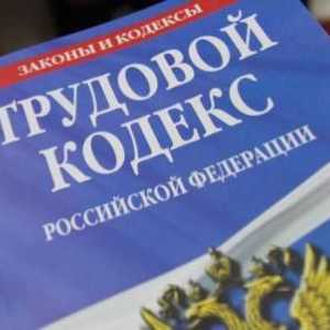 Čl. 65 TC RF s komentarima. Čl. 65 Zakona o radu Ruske Federacije: Dokumenti potrebni za sklapanje…
