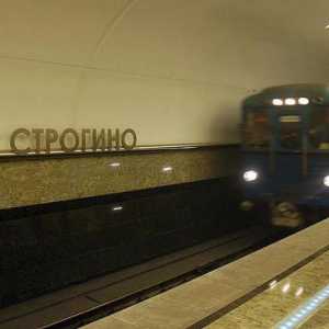 Stanica metroa "Strogino". Distrikt Strogino