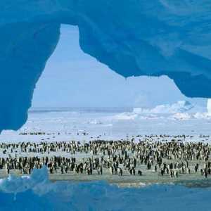 Postaja "Mir" na Antarktici: koordinate, značajke