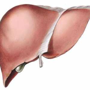 Što je steatohepatoza? Steatogeneza jetre