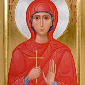 `Stefanida Damas` - ikona pravoslavnih kršćana