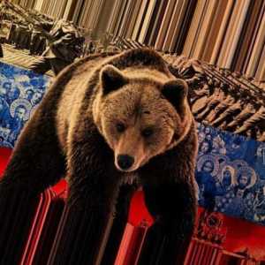 Stereotipovi o Rusiji i Rusima. Medvjed s balalaika. Ruski Matryoshka