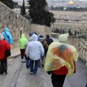 Je li vrijedno otići u Izrael u veljači: fotografije i recenzije turista