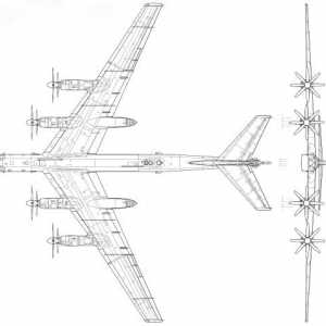 Strateški bombarder TU-95: značajke i fotografije